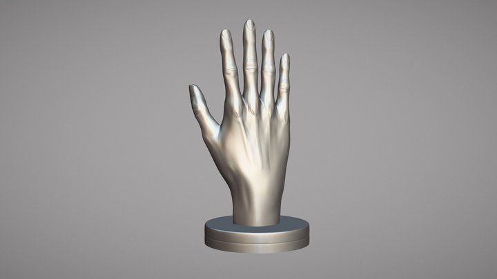 Hand Shape 3D Model
