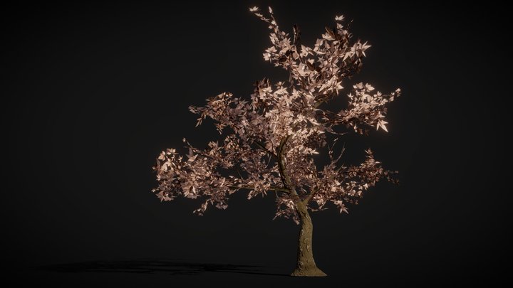 Tree 3D Model