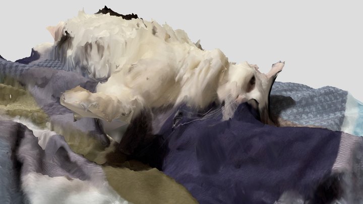 Reality Scan Boriska Cat 3D Model