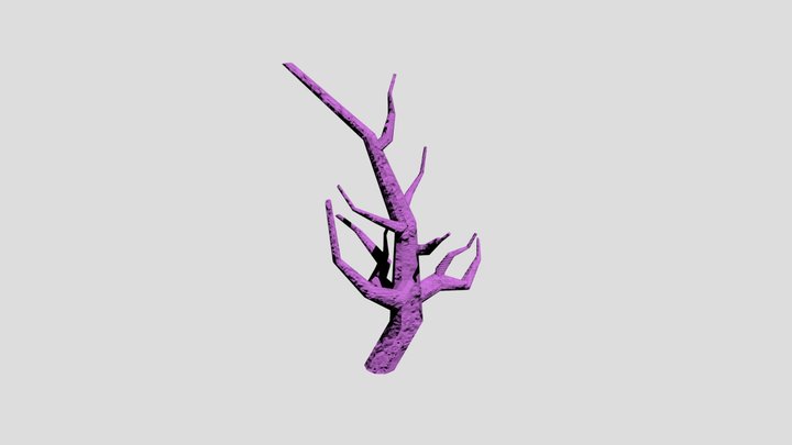 Coral5 3D Model