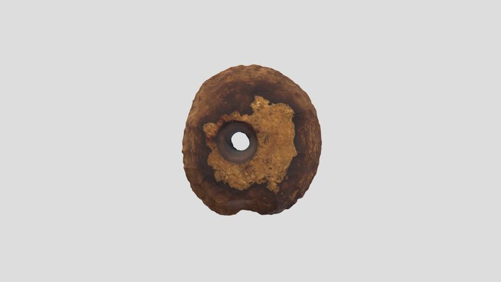Galet troué - Grotte de Monier 3D Model