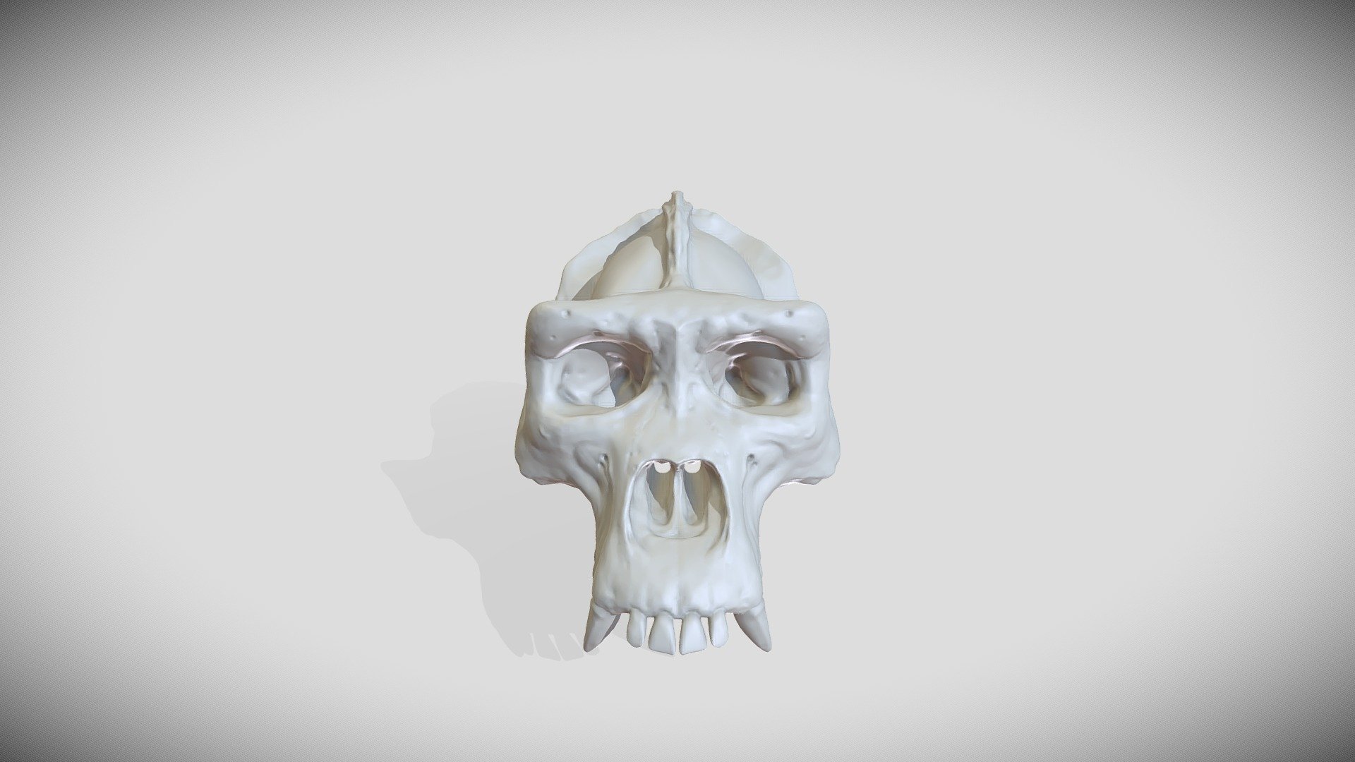 Gorilla Skull Files