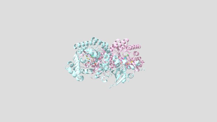 Rubisco with Mn2+ and CABP 3D Model