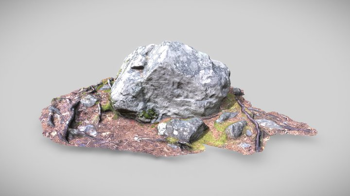 Boulder 01 (Raw Scan) 3D Model