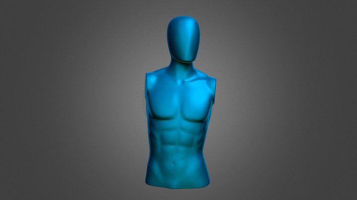 Male Torse Mannequin 3D Model