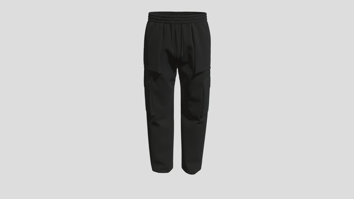 Cargo Pants 3D Model