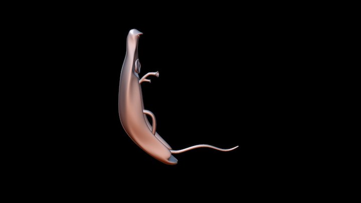 Schistosoma Japonicum 3D Model