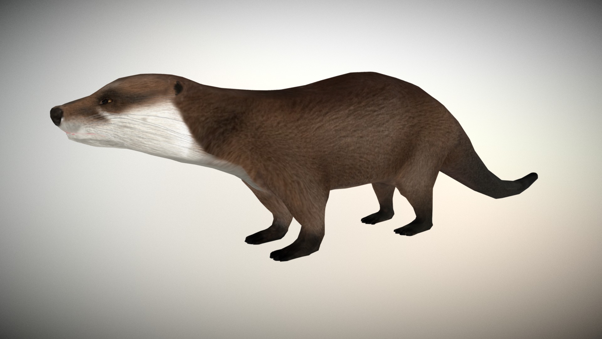 3D model Canadian Otters - This is a 3D model of the Canadian Otters. The 3D model is about a brown animal with a long tail.