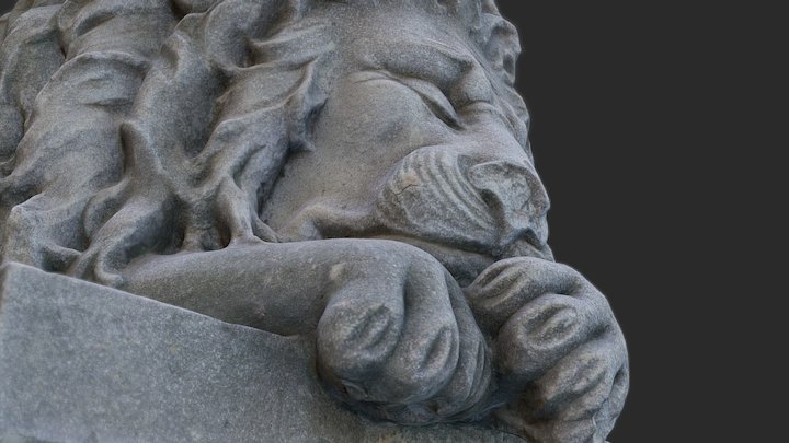 Sleeping Lion 01 3D Model