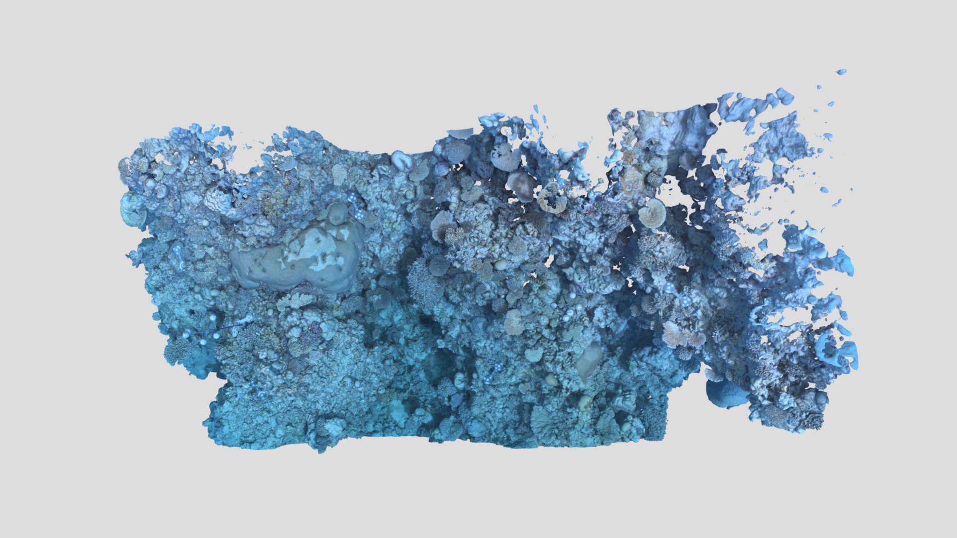 Davies_BA2S_P3_202101 - 3D model by EcoRRAP (@AIMSEcoRRAP) [cb4c931 ...