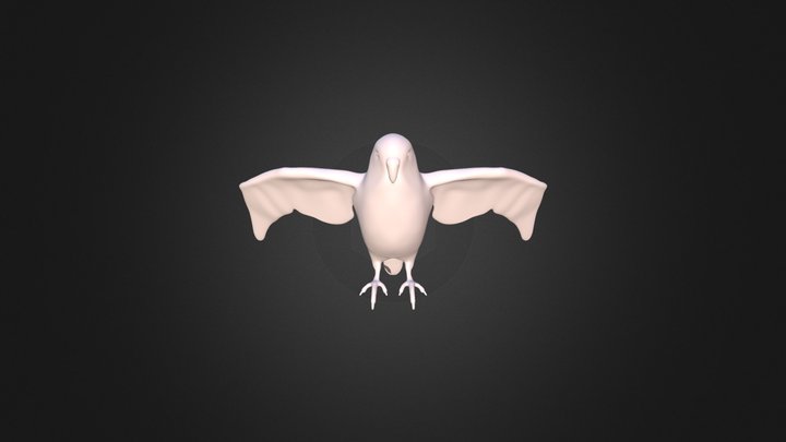 Parakeet bird 3D Model