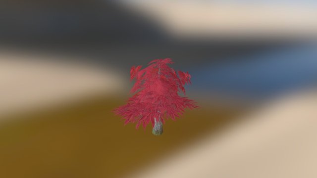 Vegetation_RedMapleTree 3D Model