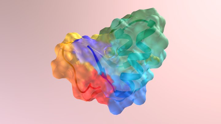 Crambin Rainbow 3D Model