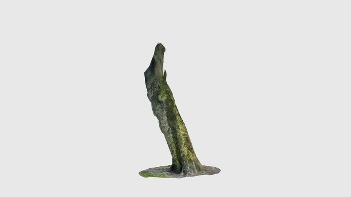 Tree trunk 3D Model