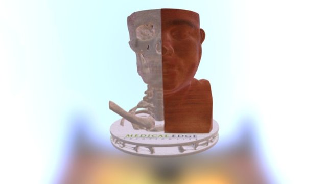 Topmodelskullhalfface 3D Model