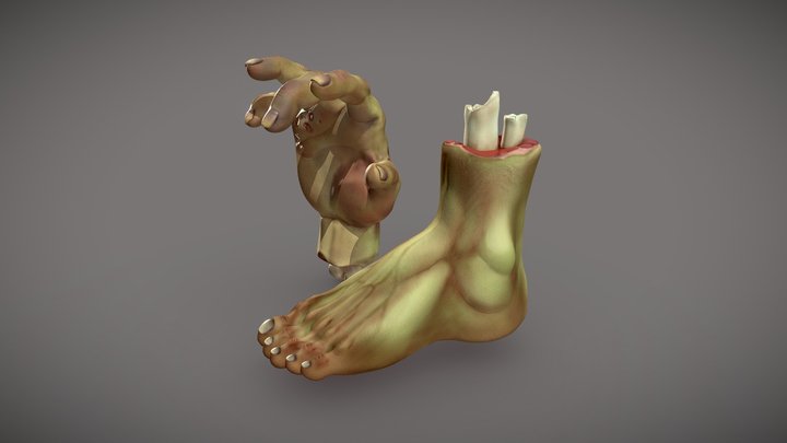 Zombie_limbs_hand_feet 3D Model