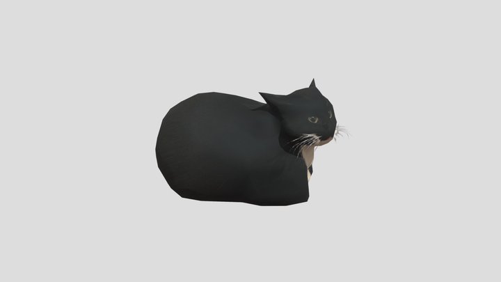 maxwell!!! 3D Model