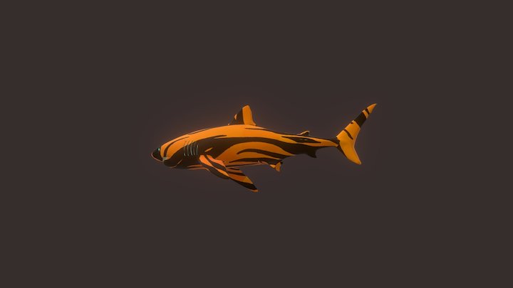 Sea Tiger Shark Skin 3D Model