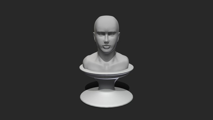 face sculpt anatomy practice 3D Model