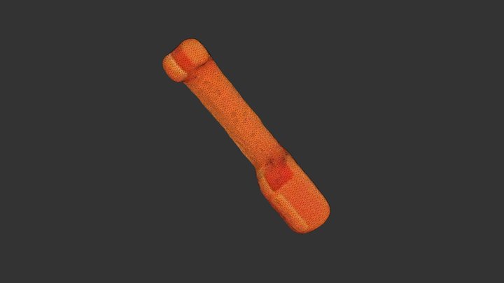 New Qlone 3D Model