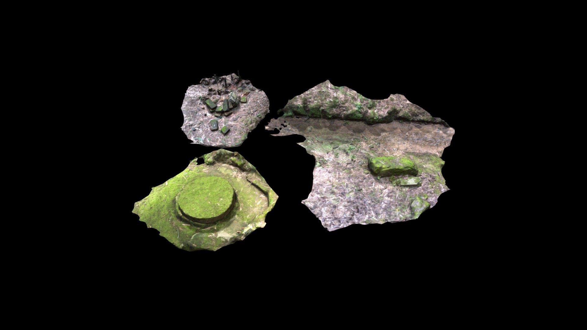 Natural plants pack 2