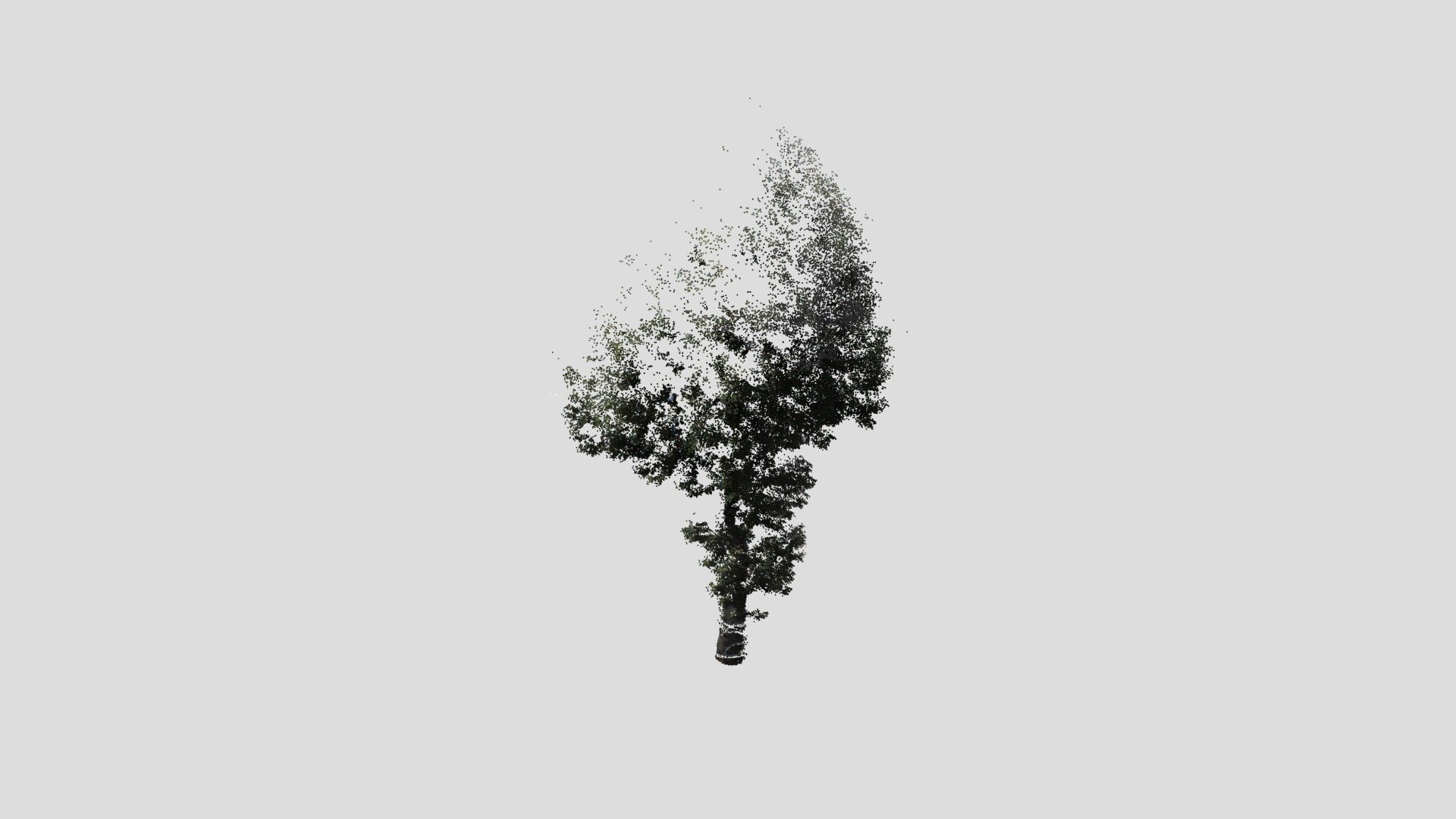 tree20-pointcloud - 3D model by Nodai_Kunii_Lab (@mmsroadsidetree ...