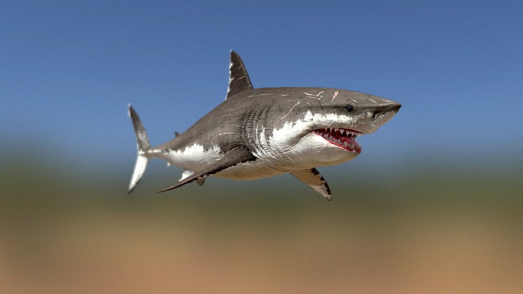 Cretoxyrhina