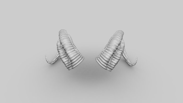 Horns sculpt 3D Model
