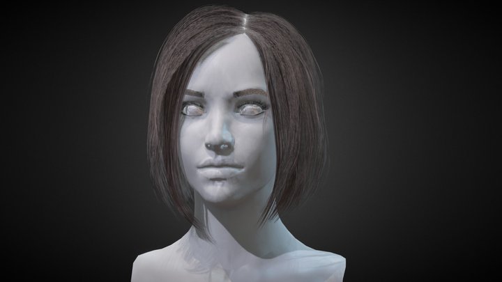 Hair 3D Model