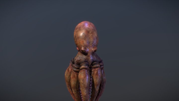 Swimming Octopus 3D Model