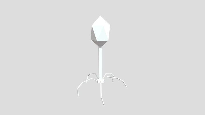 Virus 3D Model