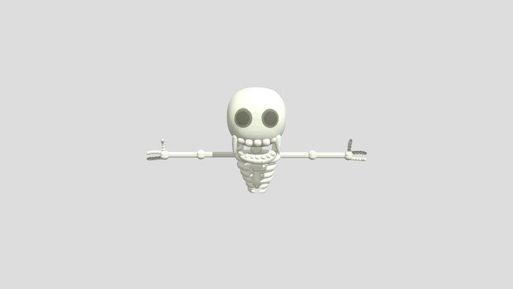Skeleton Capuchin 3D Model