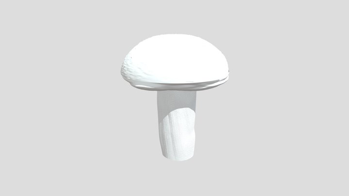realistic toadstool