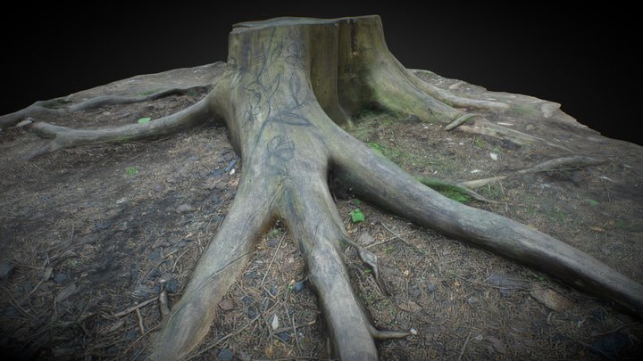 One more stump (quad retopo)