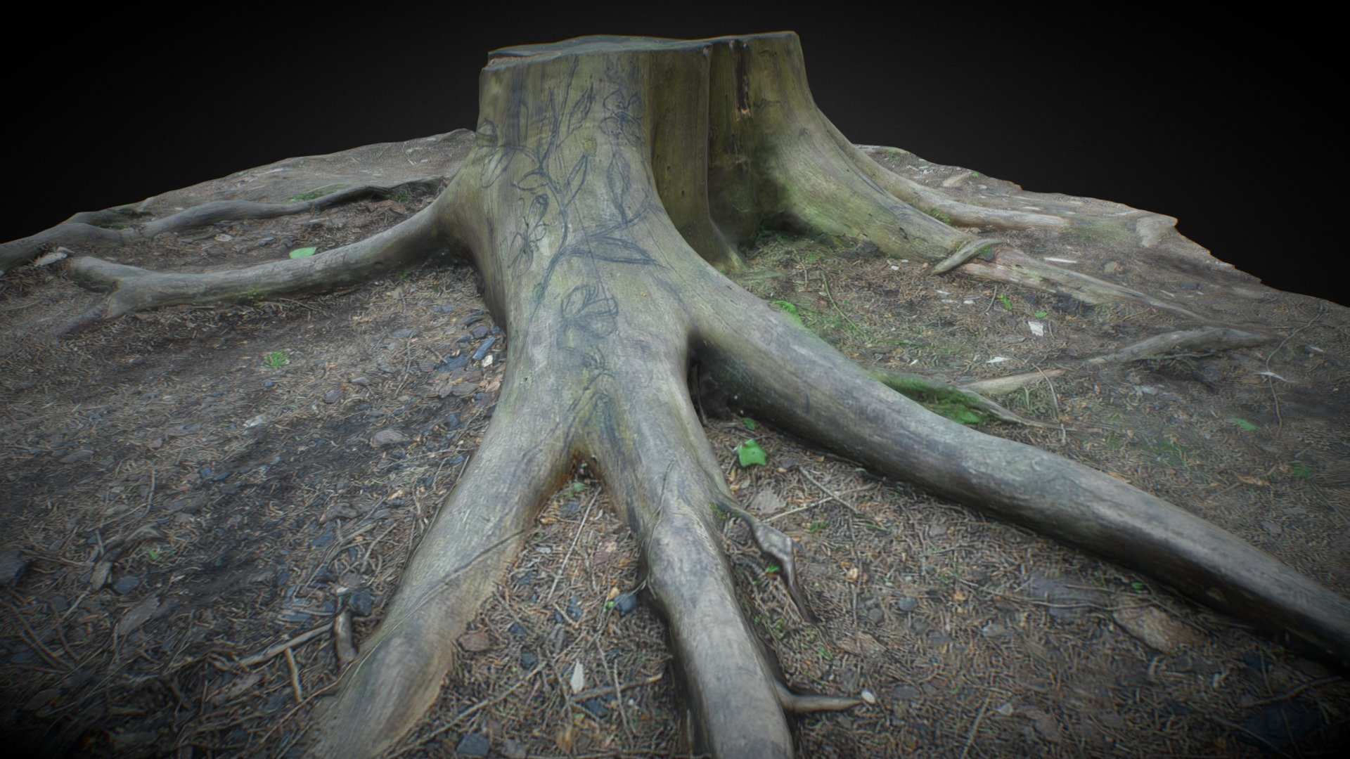 One more stump (quad retopo)