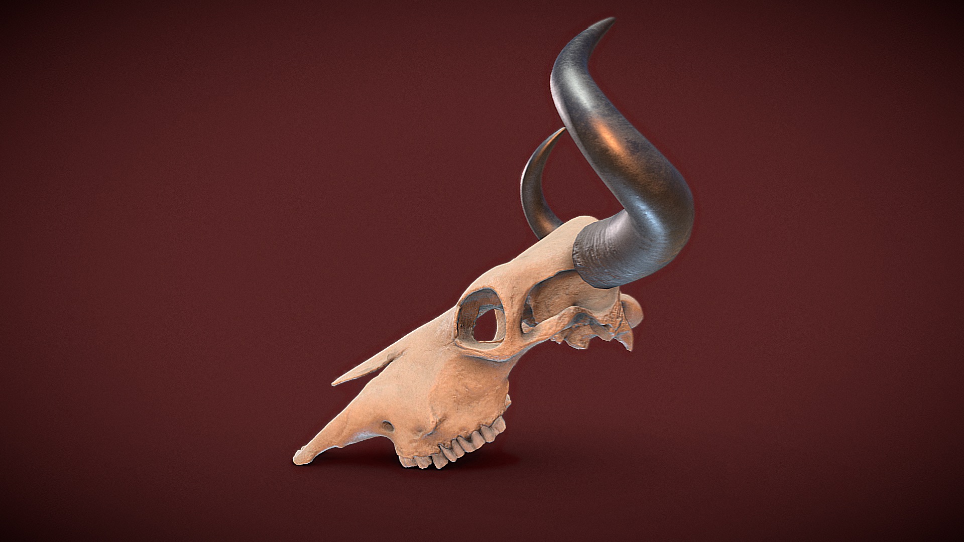 3D model Cow Skull – Photogrammetry - This is a 3D model of the Cow Skull - Photogrammetry. The 3D model is about a small metal animal.