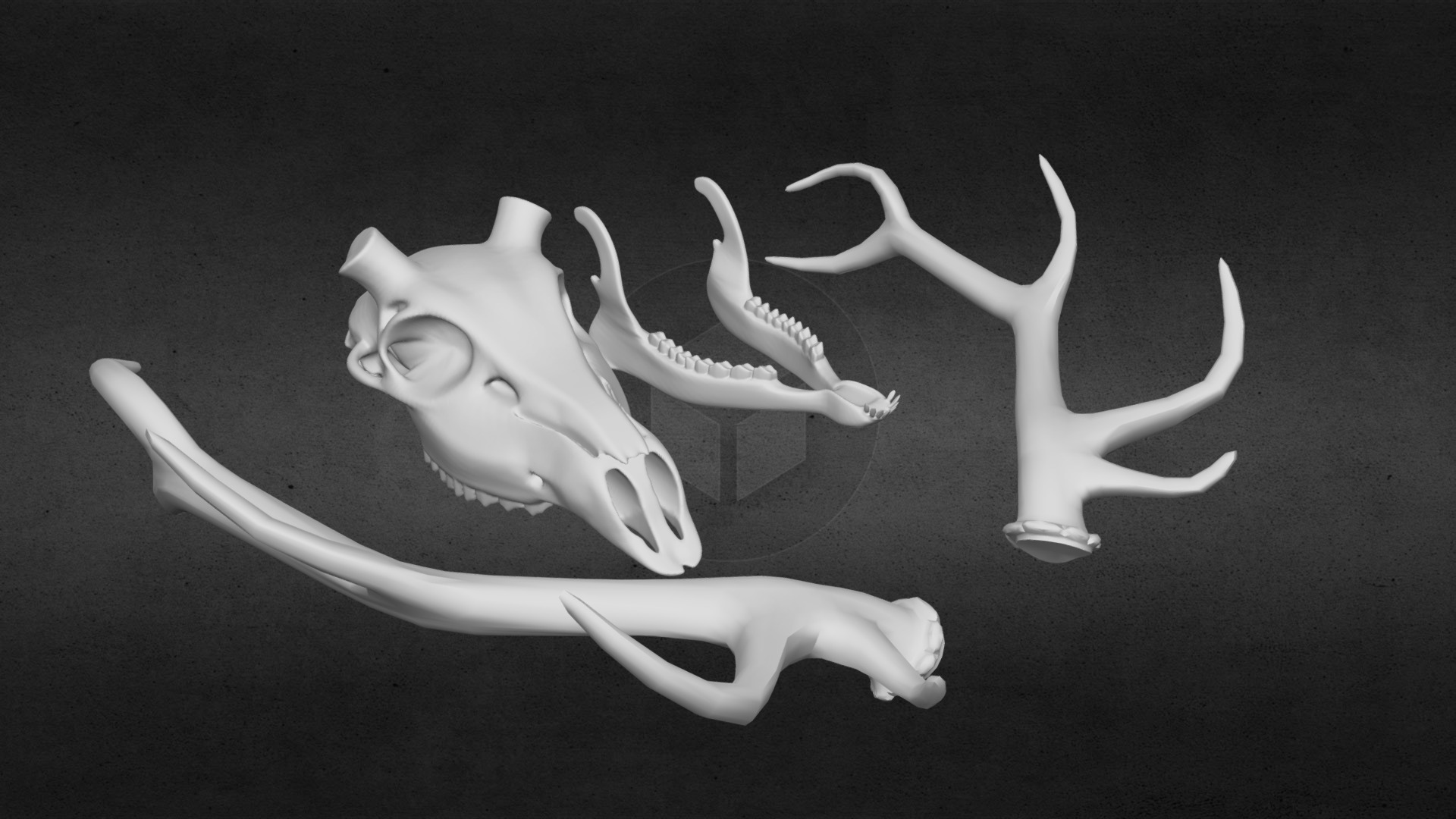3D model Elk Skull [For 3D Print] - This is a 3D model of the Elk Skull [For 3D Print]. The 3D model is about a group of white and black objects.