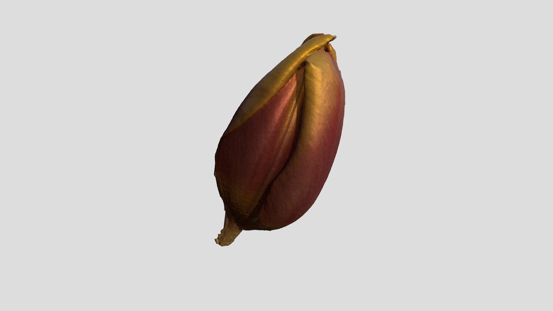 Tulip — Sketchfab embed 3D viewer
