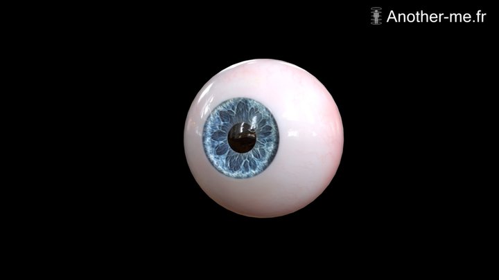 Anatomical Blue Iris Eyeball 3D Model