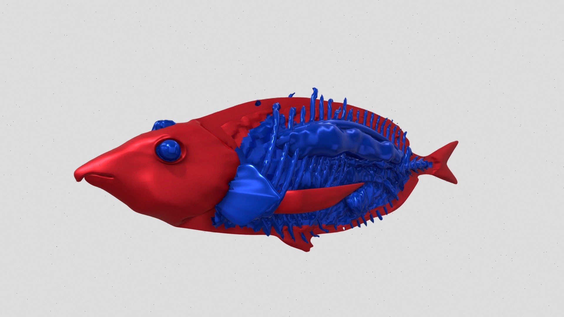 Fish inside out (commissioned) - 3D model by gustavofreoli [cb7d124 ...