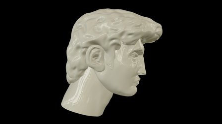 Michelangelo's David 3D Model