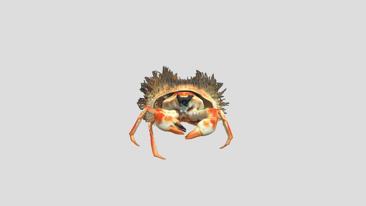 Personaje ODS Nº14 – Free 3D Model STL