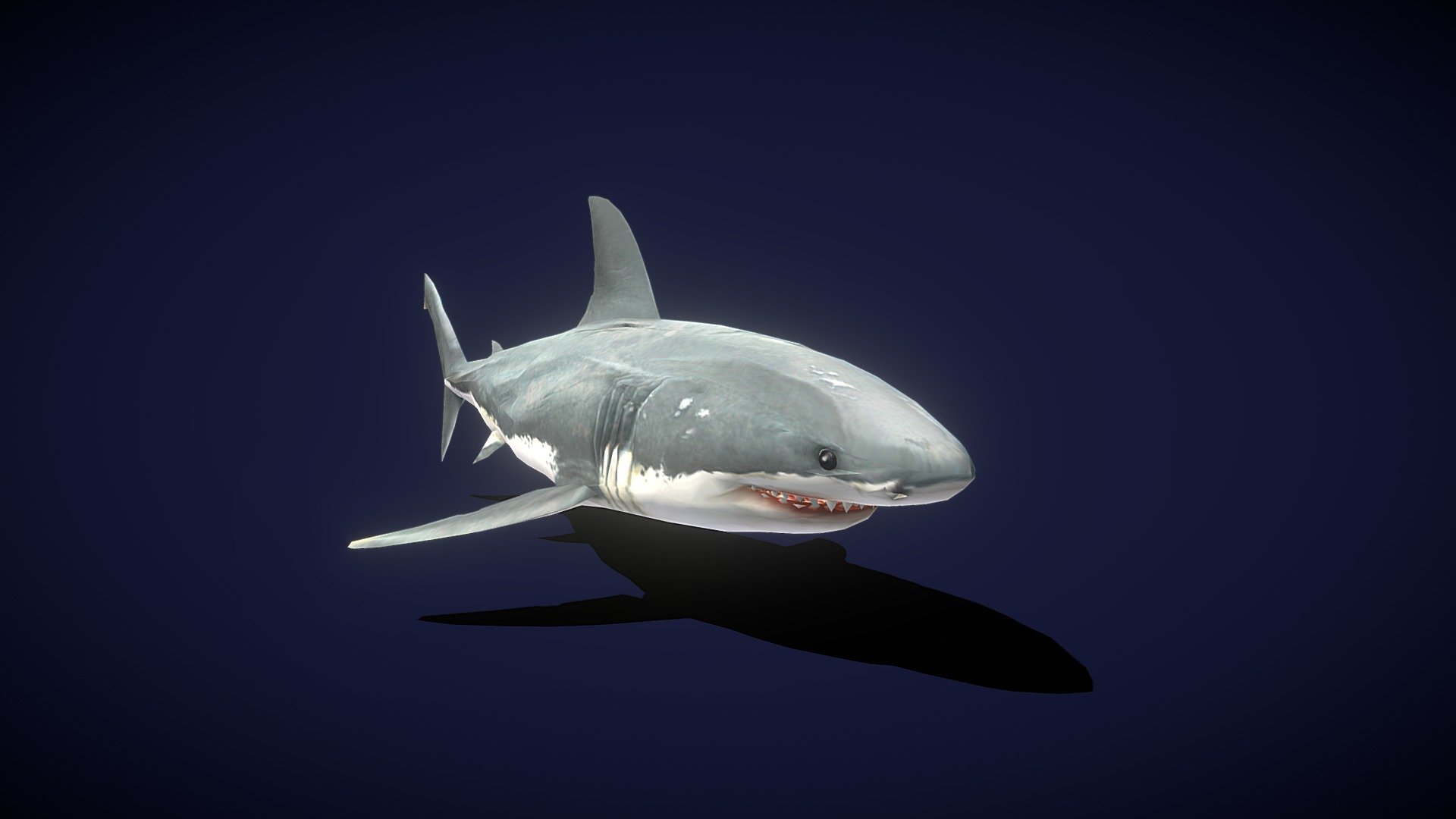 Shark Jawns Unleashed - Download Free 3D model by LoveMeMore3