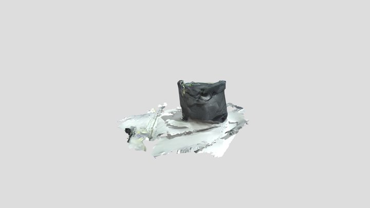 Scaniverse 2025-11-11 164921 3D Model