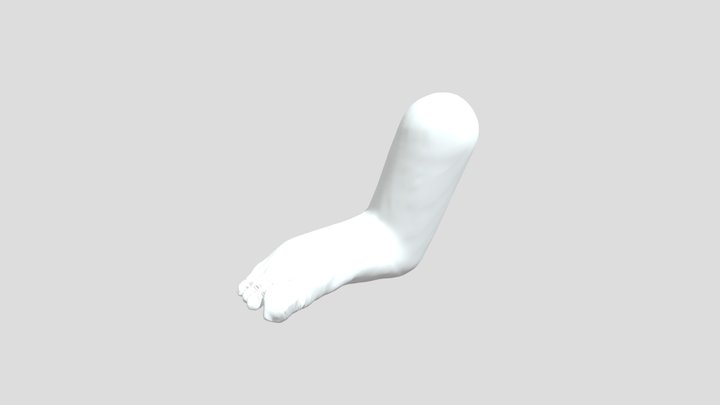 Foot basemesh 3D Model