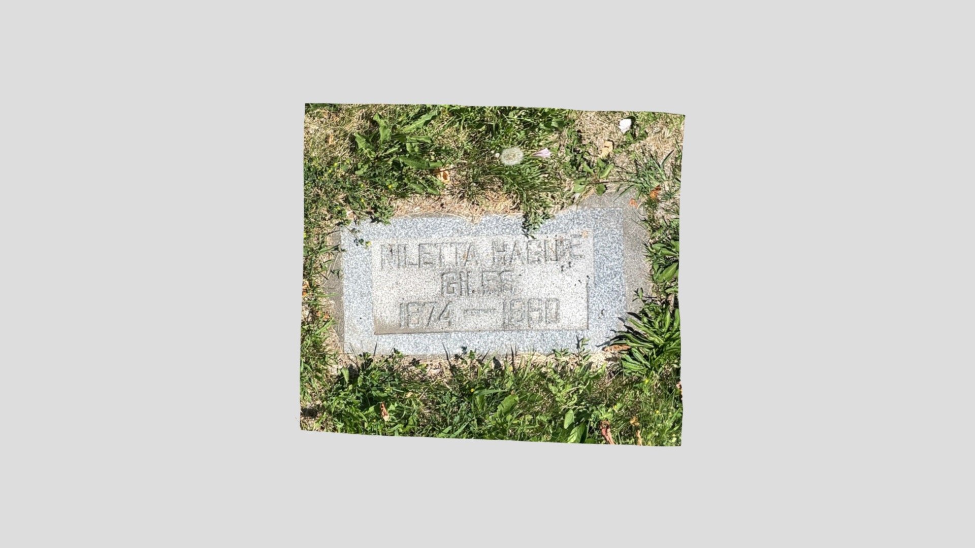 Niletta Hauge Giles