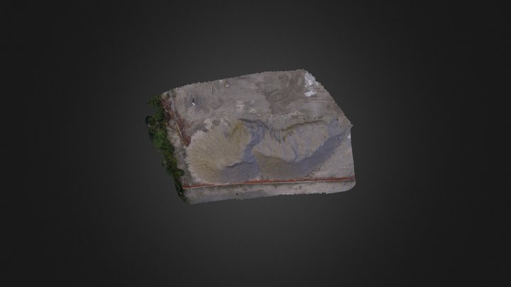 Tas Tom 3D Model