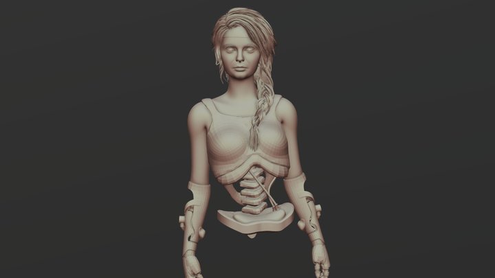 Hola Robot F97 Mesh Free Download 3D Model