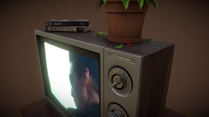 Retro Linytron Tv and VHS 3D Model