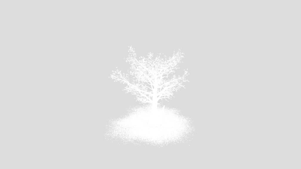 Maple Tree